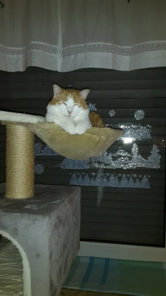 Condolence image of ❤️28 Wo❤️Deine Mutti Eike und Oma Edeltraud ❤️