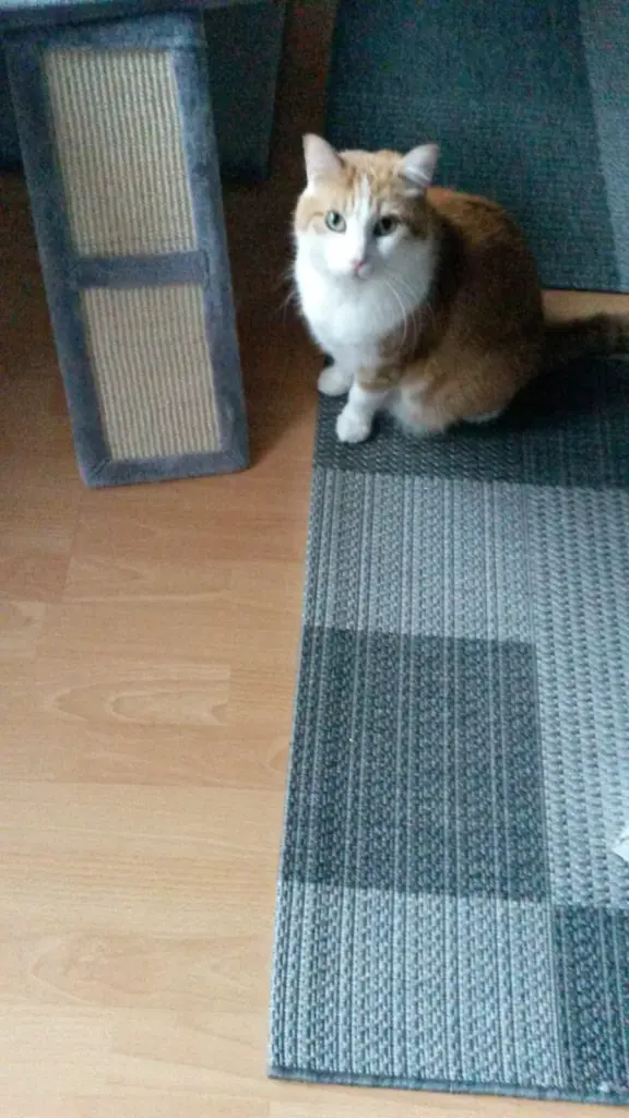 Condolence image of ❤️29 Wo❤️Deine Mutti und deine Oma ❤️