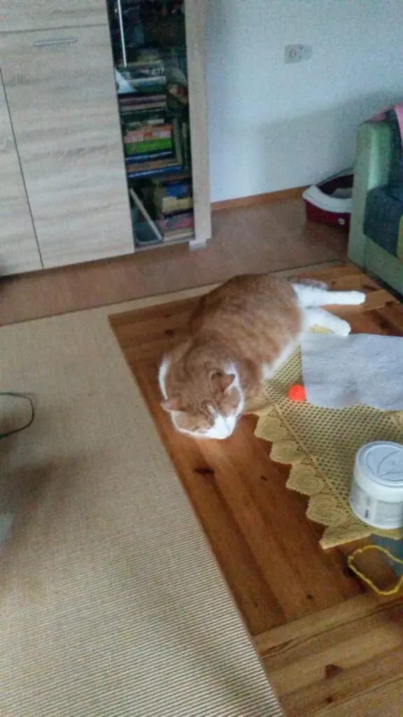 Condolence image of ❤️30 Wo❤️Deine Mutti und deine Oma ❤️ 