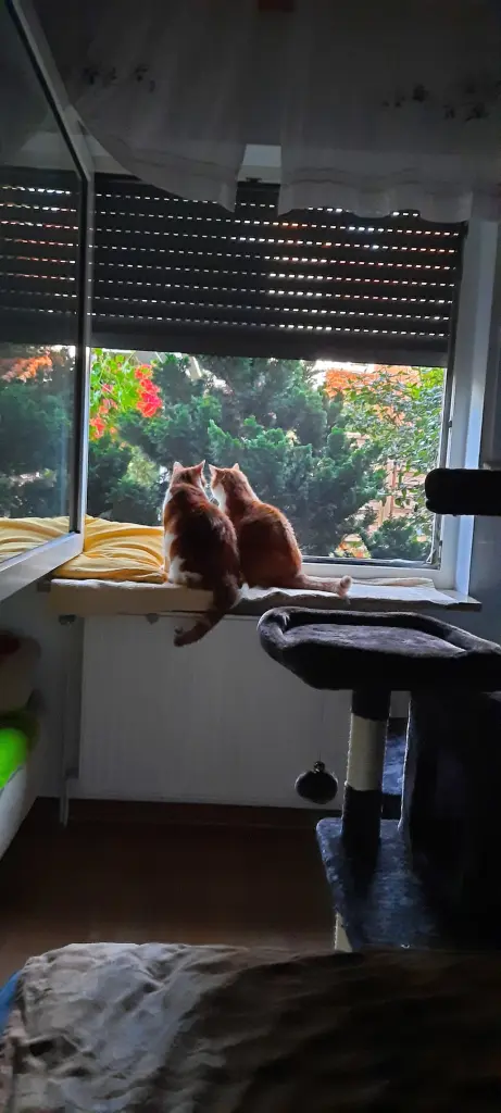 Condolence image of ❤️7 Mo❤️Deine Mutti und deine Oma ❤️ 