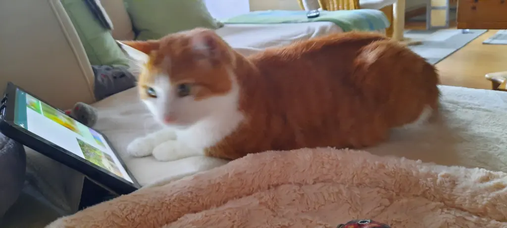 Condolence image of ❤️31 Wo❤️Deine Mutti und deine Oma ❤️ 