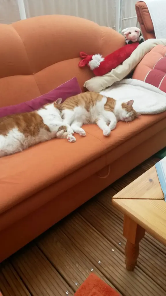 Condolence image of ❤️33 Wo❤️Deine Mutti und deine Oma ❤️ 