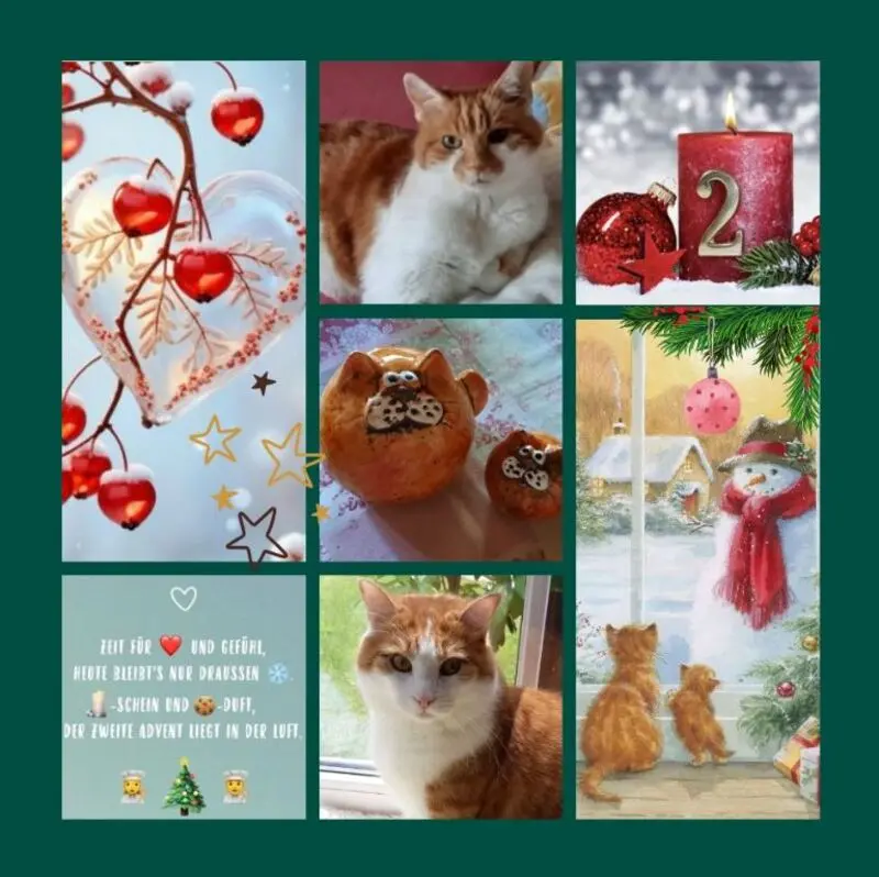 Condolence image of Eine Rose zum 2. Advent