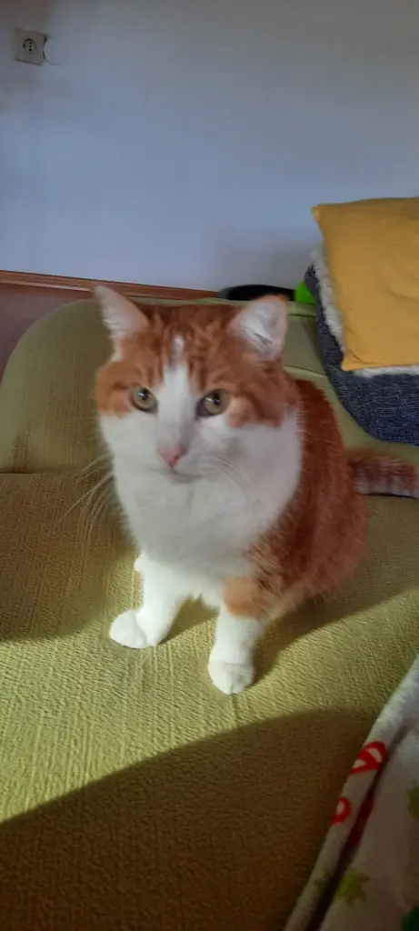 Condolence image of ❤️34 Wo❤️Deine Mutti und deine Oma ❤️ 