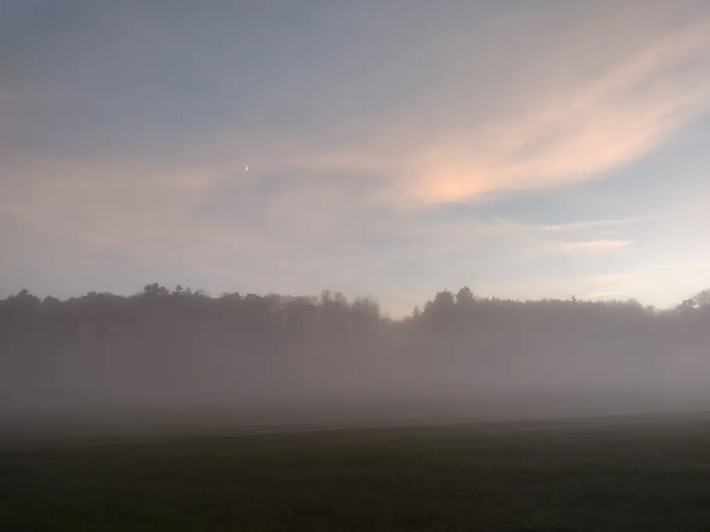 Condolence image of Corinna mit Emma, Jengi, Pummelchen und anderen Sternleine im Herzen