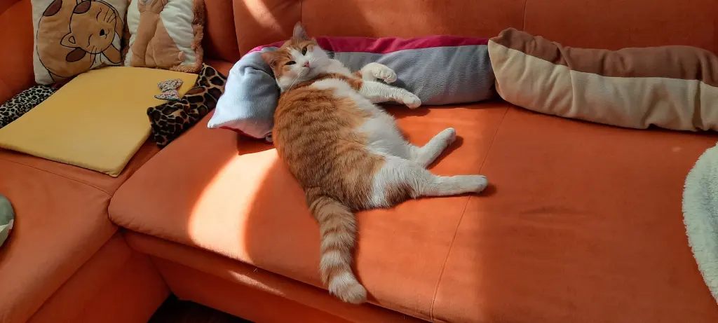 Condolence image of ❤️36 Wo❤️Deine Mutti und deine Oma ❤️