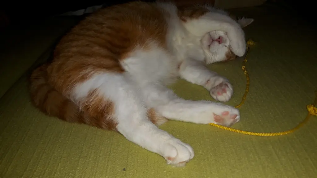 Condolence image of ❤️38 Wo❤️Deine Mutti und deine Oma ❤️ 