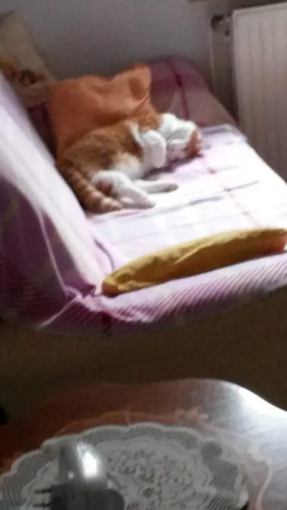 Condolence image of ❤️39 Wo❤️Deine Mutti und deine Oma ❤️ 