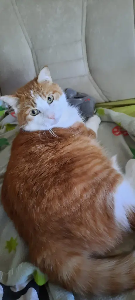 Condolence image of ❤️9 Mo❤️Deine Mutti und deine Oma ❤️ 