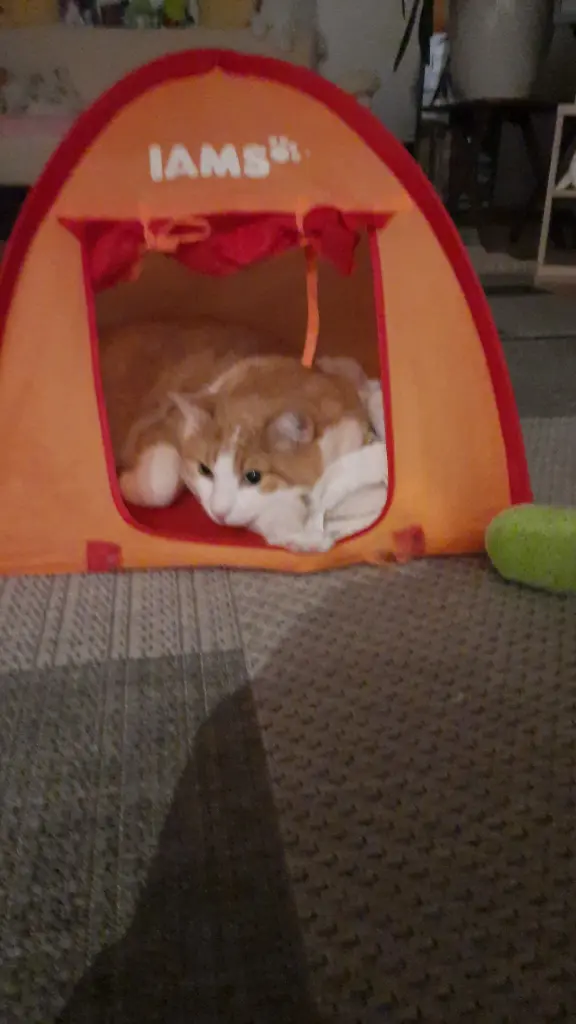 Condolence image of ❤️40 Wo❤️Deine Mutti und deine Oma ❤️ 