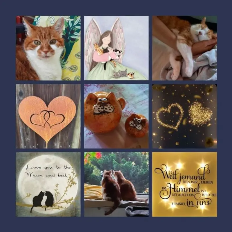 Condolence image of Ein Strauß Pauli-Röschen zum Sonntag 