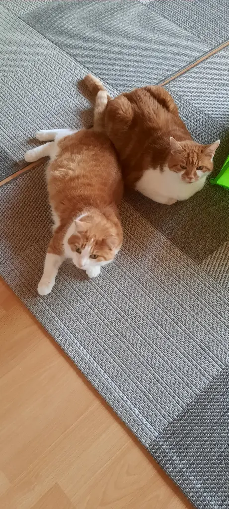 Condolence image of ❤️42 Wo❤️deine Mutti und deine Oma ❤️ 