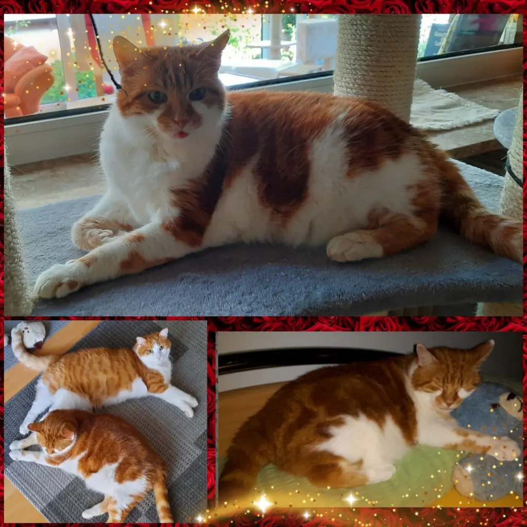 Condolence image of ❤️45 Wo❤️Deine Mutti und deine Oma ❤️