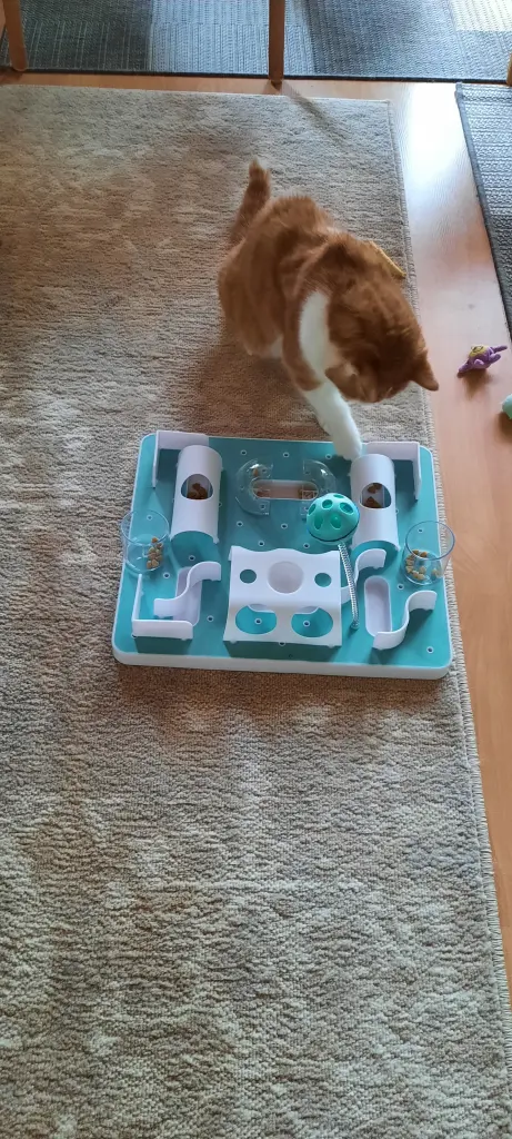 Condolence image of ❤️47 Wo❤️Deine Mutti und deine Oma ❤️