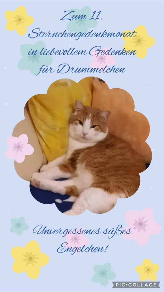 Condolence image of ❤️11 Mo❤️Deine Mutti und deine Oma ❤️