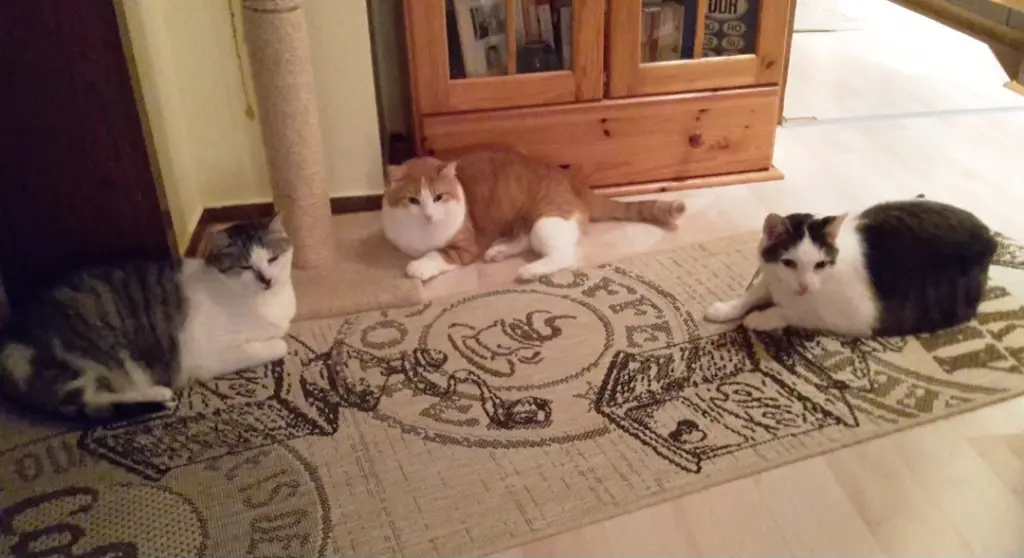 Condolence image of ❤️49 Wo❤️Deine Mutti und deine Oma ❤️ 