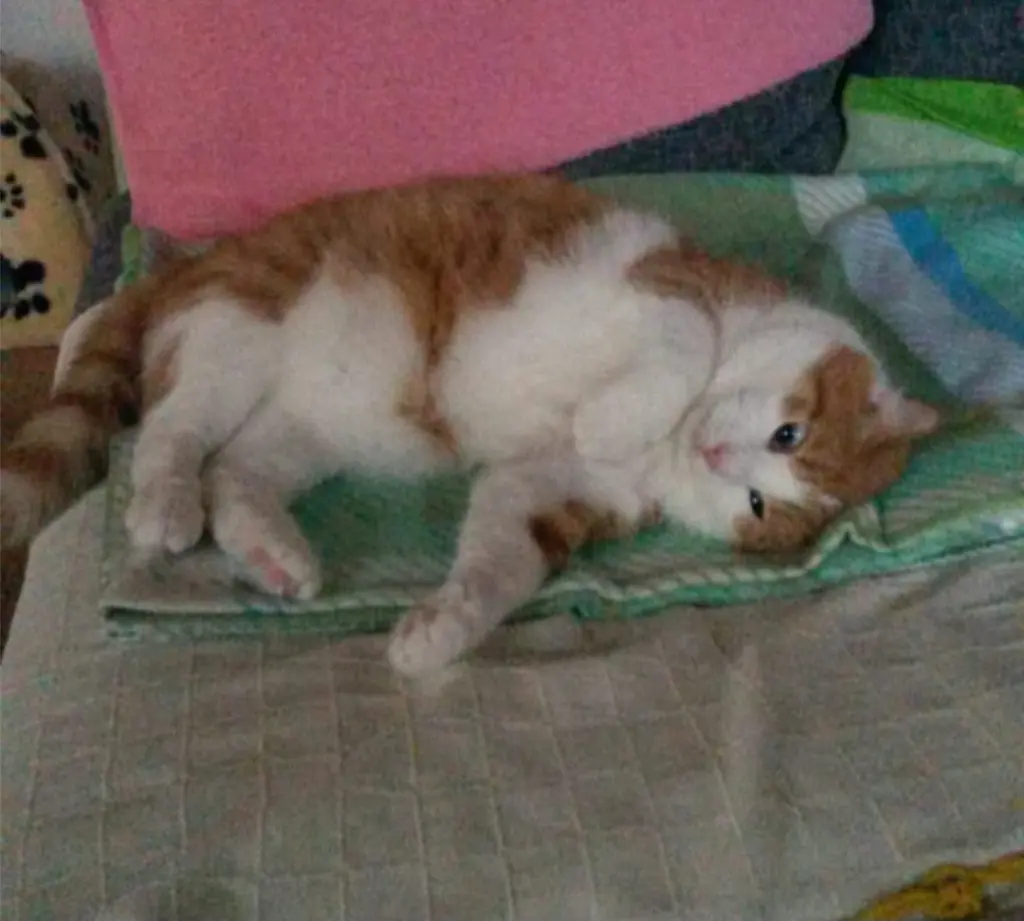 Condolence image of ❤️50 Wo❤️Deine Mutti und deine Oma ❤️ 