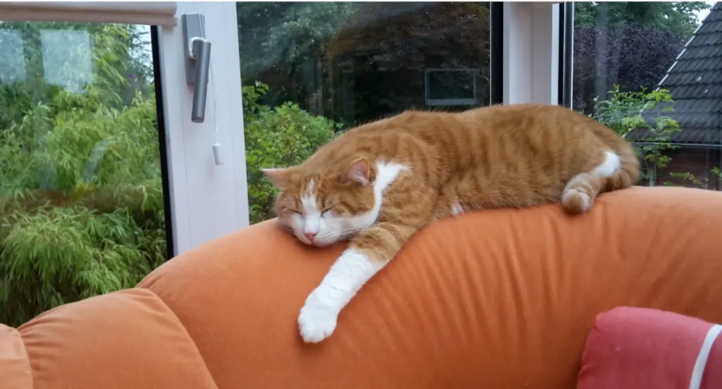 Condolence image of ❤️51 Wo❤️Deine Mutti und deine Oma ❤️ 