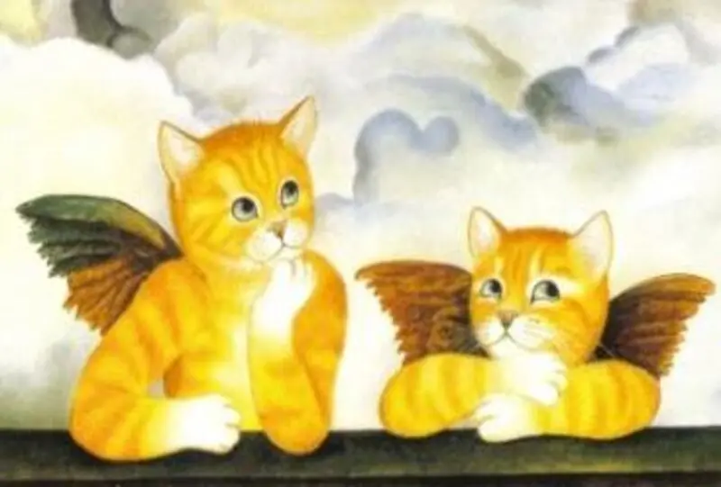 Condolence image of Ein Sonntagsröschen für Pauli