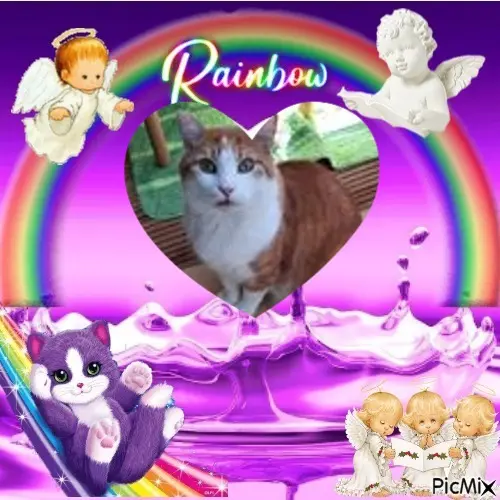 Condolence image of ❤️❤️❤️❤️❤️❤️❤️❤️❤️❤️❤️❤️