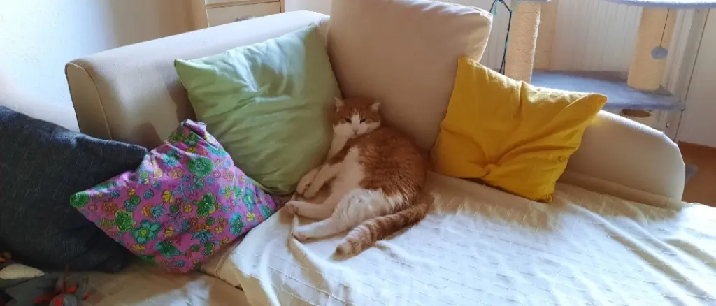 Condolence image of ❤️54 Wo❤️Deine Mutti und deine Oma ❤️ 