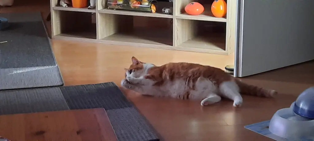 Condolence image of ❤️13 Mo❤️Deine Mutti und deine Oma ❤️ 