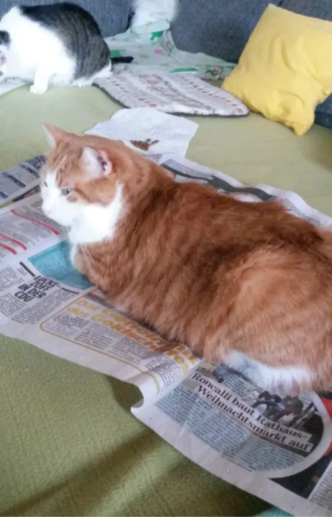 Condolence image of ❤️57 Wo❤️Deine Mutti und deine Oma ❤️ 