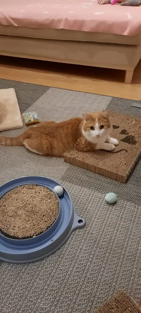 Condolence image of ❤️58 Wo❤️Deine Mutti und deine Oma ❤️ 