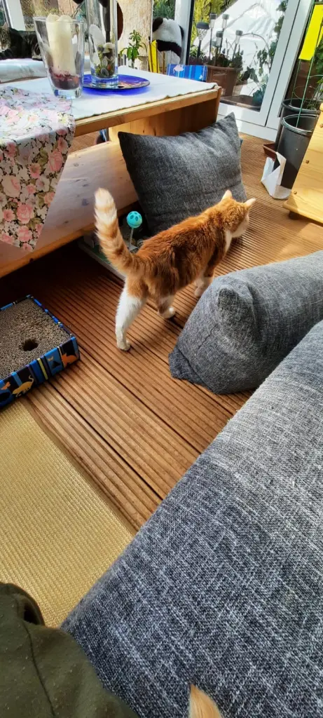 Condolence image of ❤️59 Wo❤️Deine Mutti und deine Oma ❤️ 