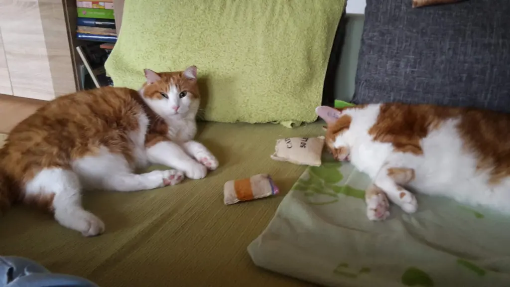 Condolence image of ❤️62 Wo❤️Deine Mutti und deine Oma❤️