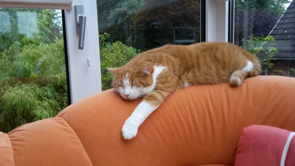 Condolence image of ❤️64 Wo❤️Deine Mutti und deine Oma ❤️