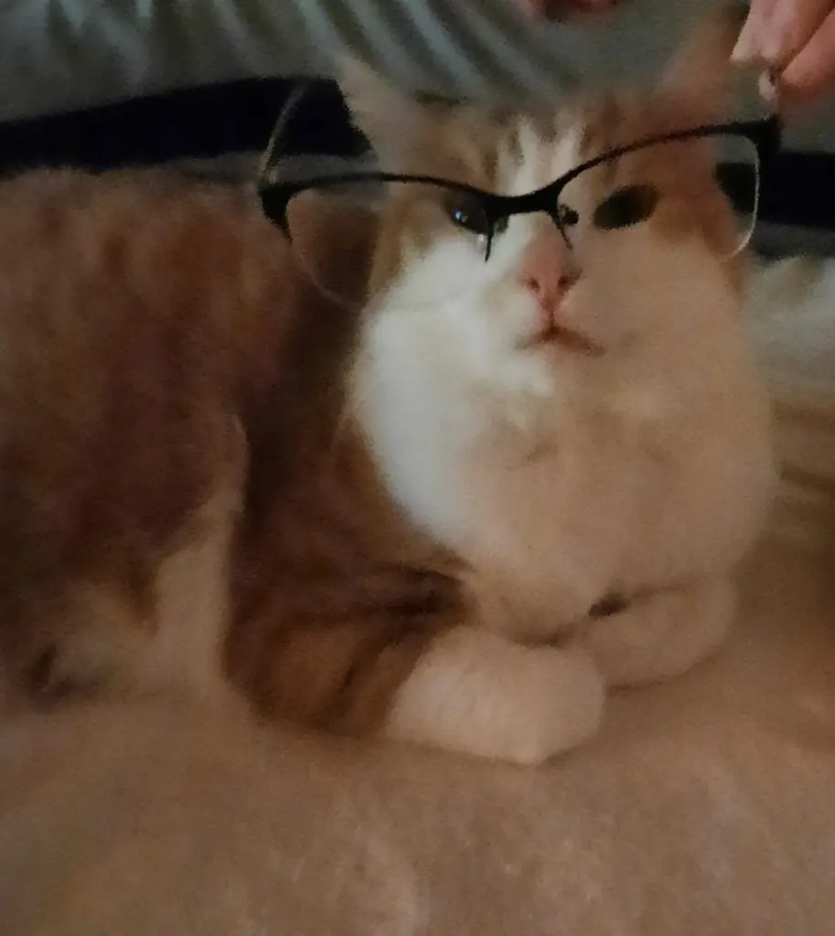 Condolence image of ❤️15 Mo❤️Deine Mutti und deine Oma ❤️