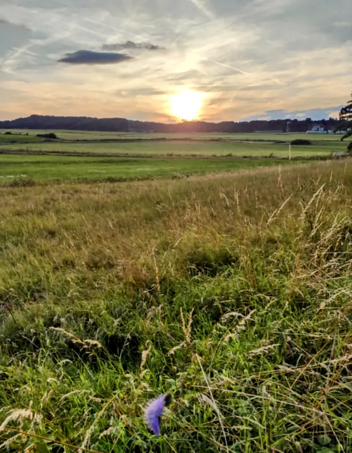 Condolence image of Corinna mit Emma, Jengi, Pummelchen und anderen Sternleine im Herzen
