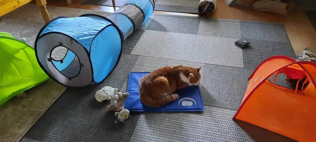 Condolence image of ❤️68 Wo❤️Deine Mutti und deine Oma ❤️ 