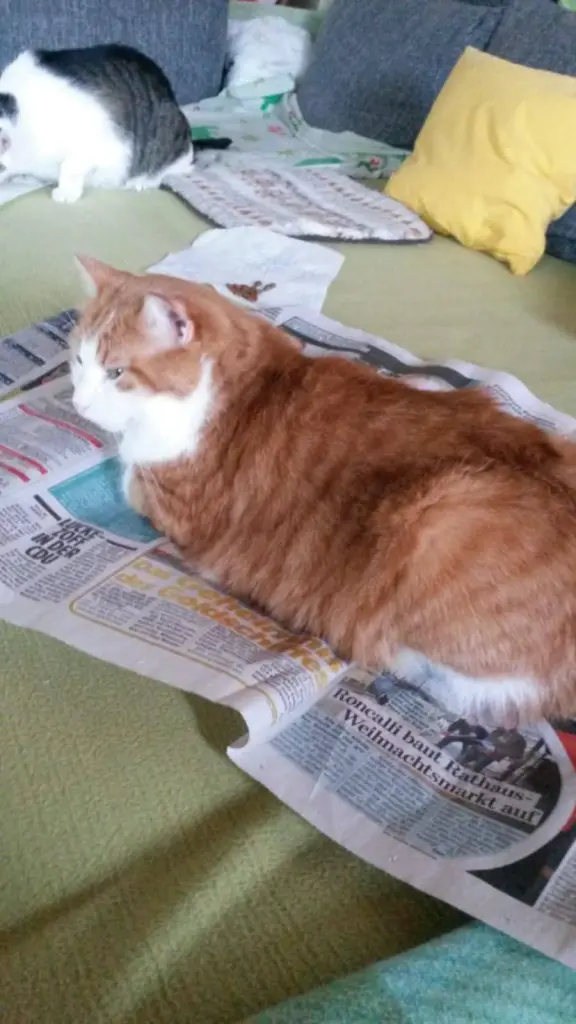 Condolence image of ❤️69 Wo❤️Deine Mutti und deine Oma ❤️ 