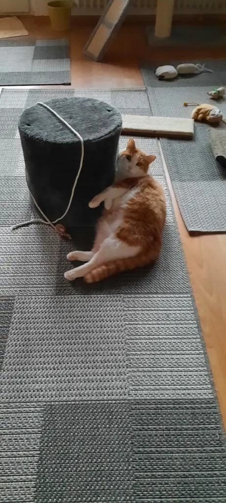 Condolence image of ❤️70 Wo❤️Deine Mutti und deine Oma ❤️ 