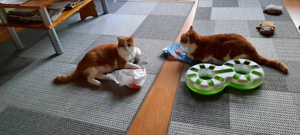 Condolence image of ❤️71 Wo❤️Deine Mutti und deine Oma ❤️ 