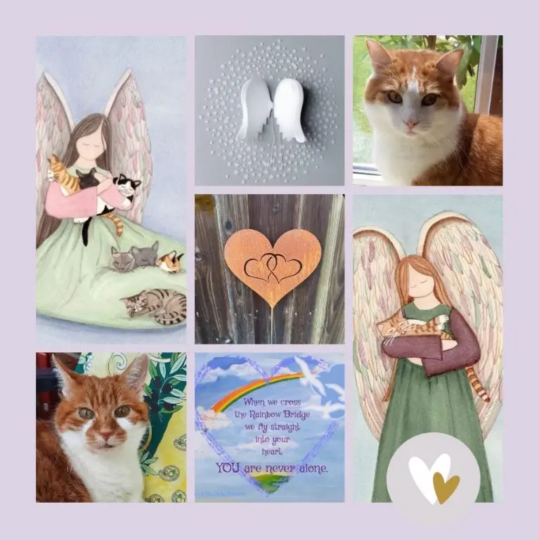 Condolence image of Ein Herbströschen für Pauli