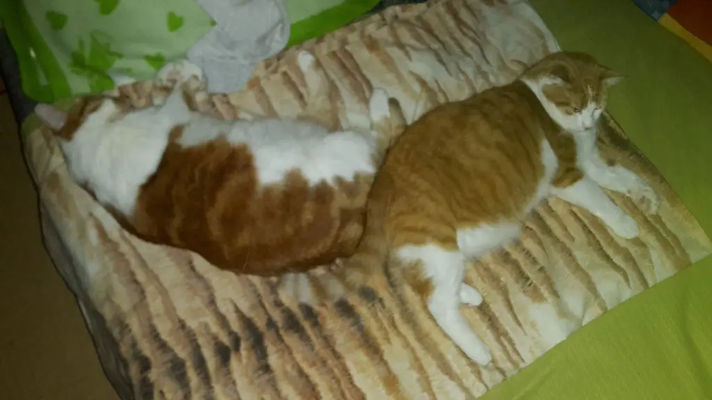 Condolence image of ❤️73 Wo❤️Deine Mutti und deine Oma ❤️ 