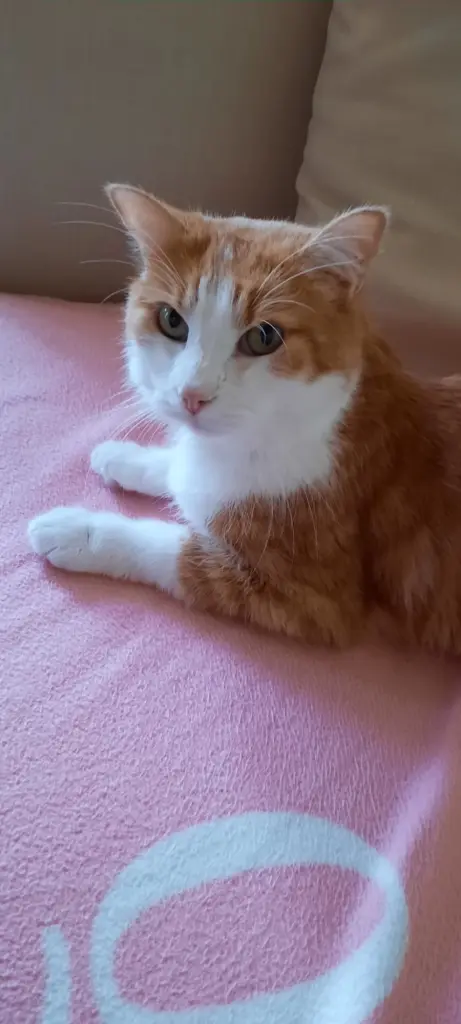 Condolence image of ❤️75 Wo❤️Deine Mutti und deine Oma ❤️