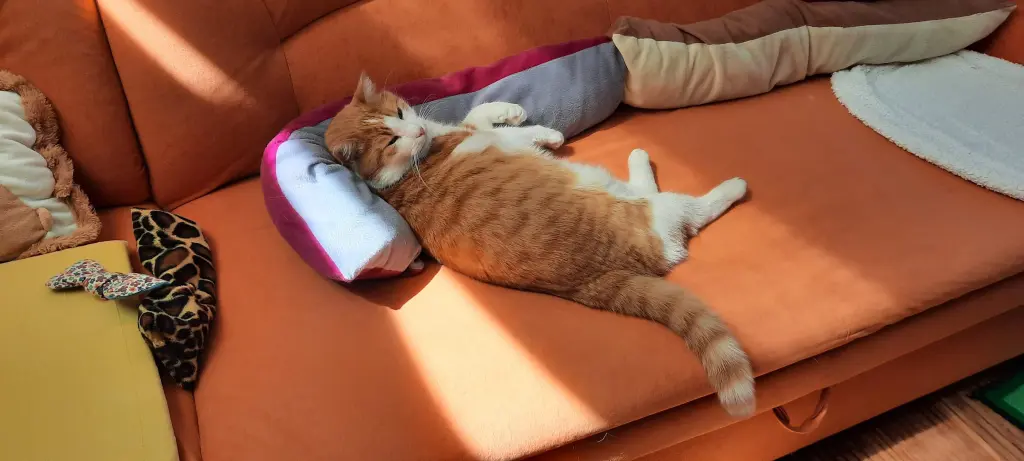 Condolence image of ❤️76 Wo❤️Deine Mutti und deine Oma ❤️