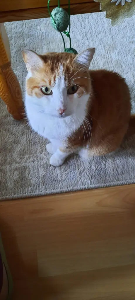 Condolence image of ❤️78 Wo❤️Deine Mutti und deine Oma ❤️