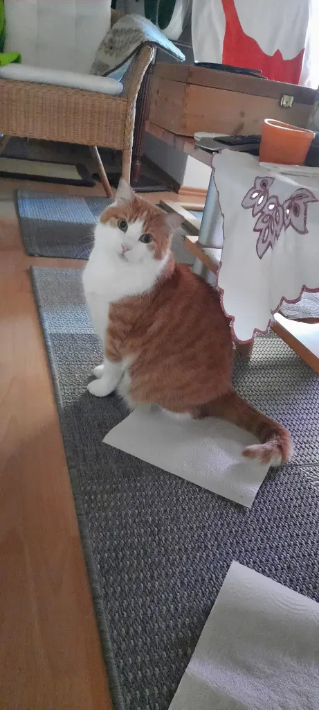 Condolence image of ❤️79 Wo ❤️Deine Mutti und deine Oma ❤️ 