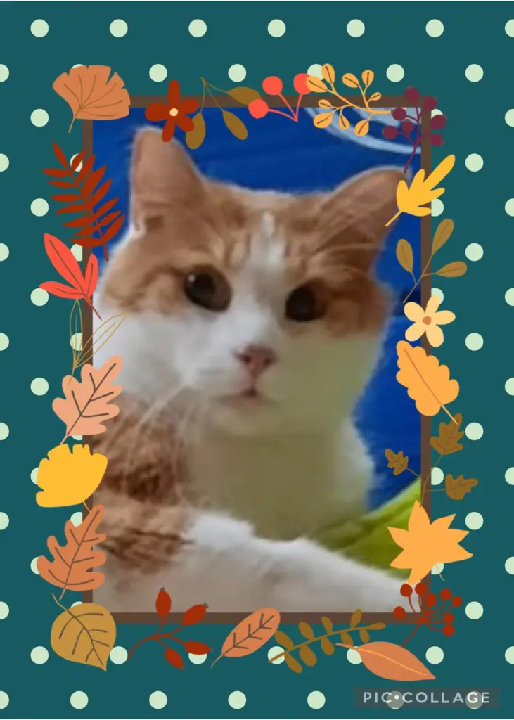 Condolence image of ❤️19 Mo❤️Deine Mutti und deine Oma ❤️ 