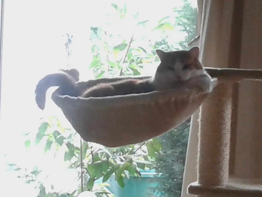 Condolence image of ❤️83 Wo ❤️Deine Mutti und deine Oma ❤️ 