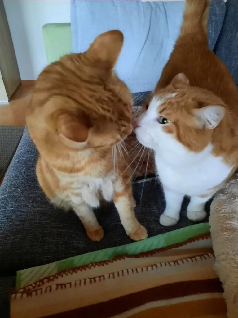 Condolence image of ❤️84 Wo❤️Deine Mutti und deine Oma ❤️ 