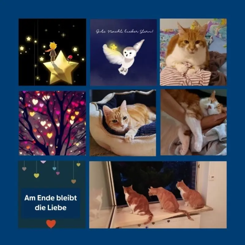 Condolence image of Rosen zum 2.Advent 