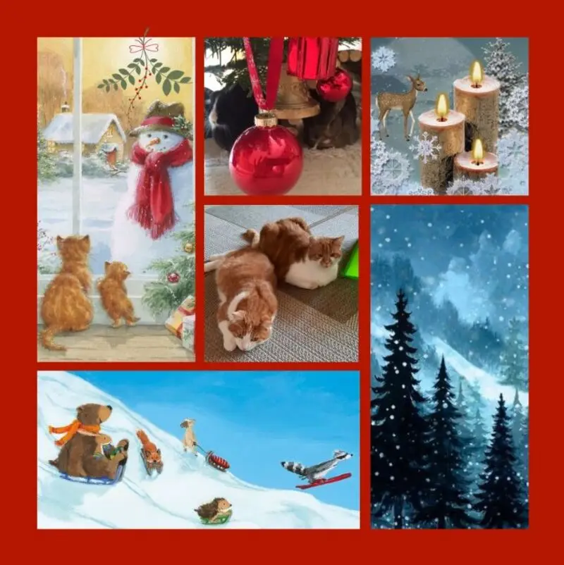 Condolence image of Rosen zum 3. Advent