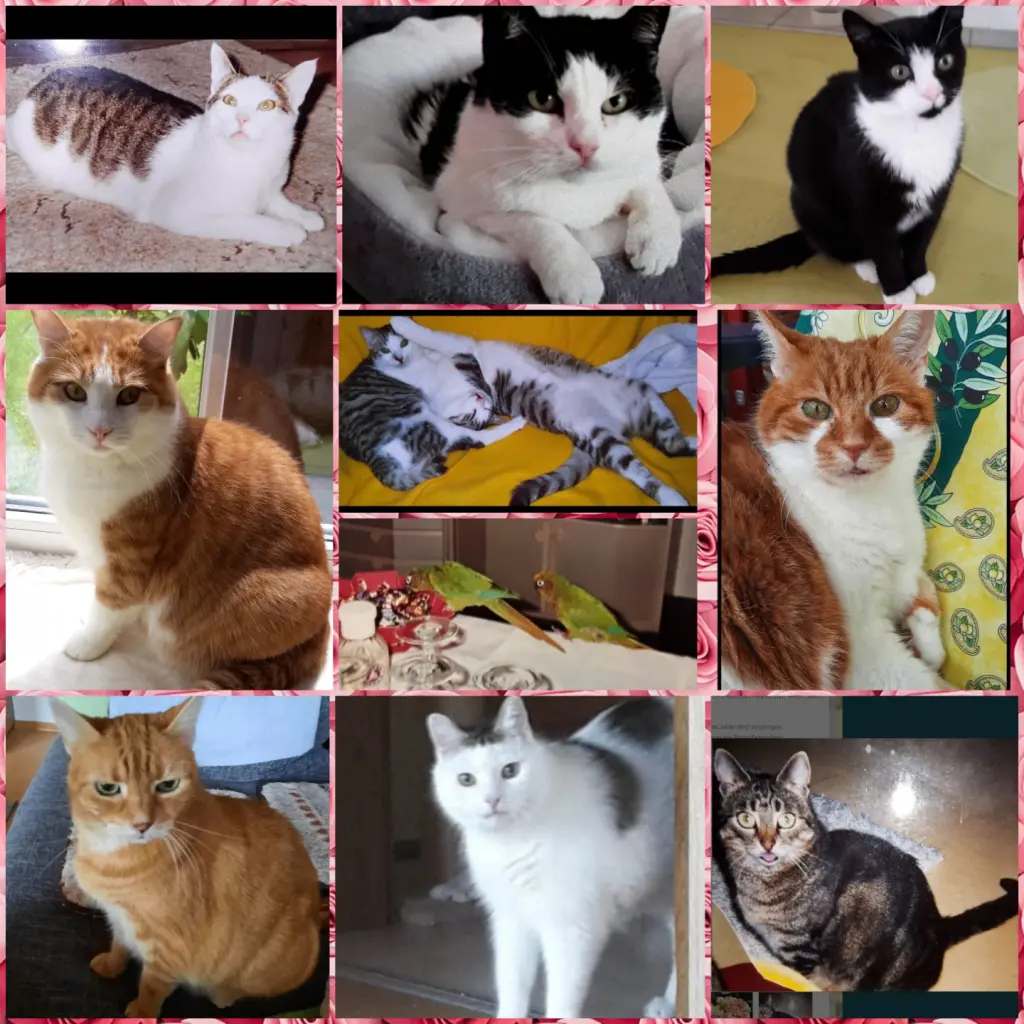 Condolence image of ❤️89 Wo❤️Zum Jahreswechsel ❤️ Deine Mutti und deine Oma ❤️ 