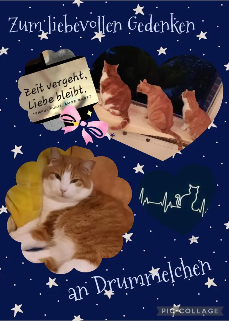 Condolence image of ❤️21 Mo❤️Deine Mutti und deine Oma ❤️ 